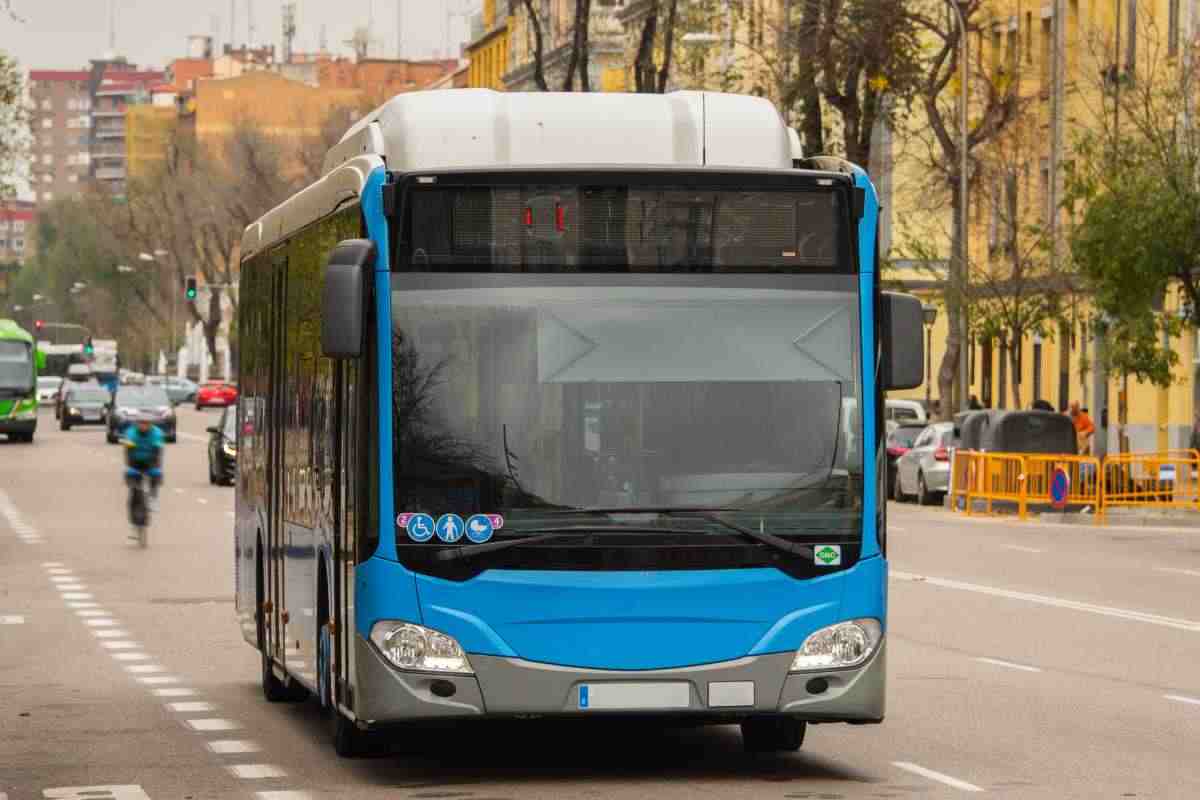 Autobus