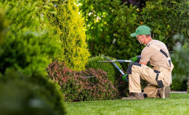 Uomo, giardino