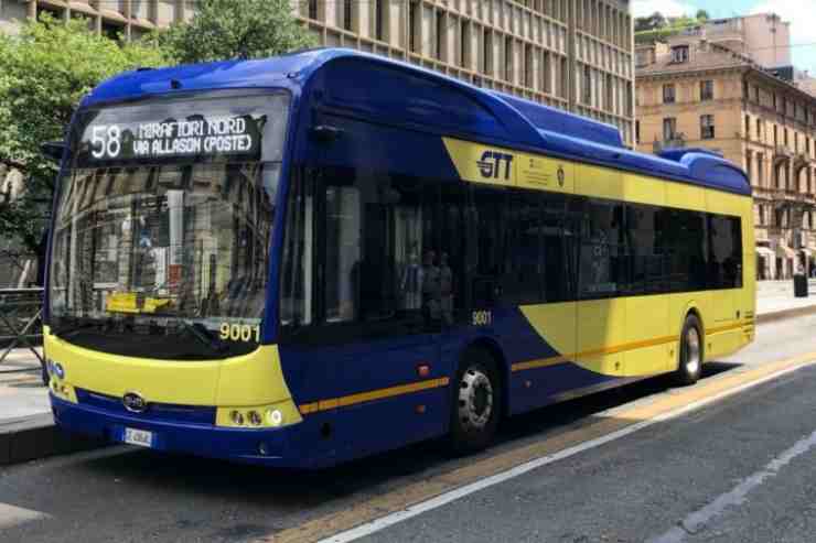 bus torino