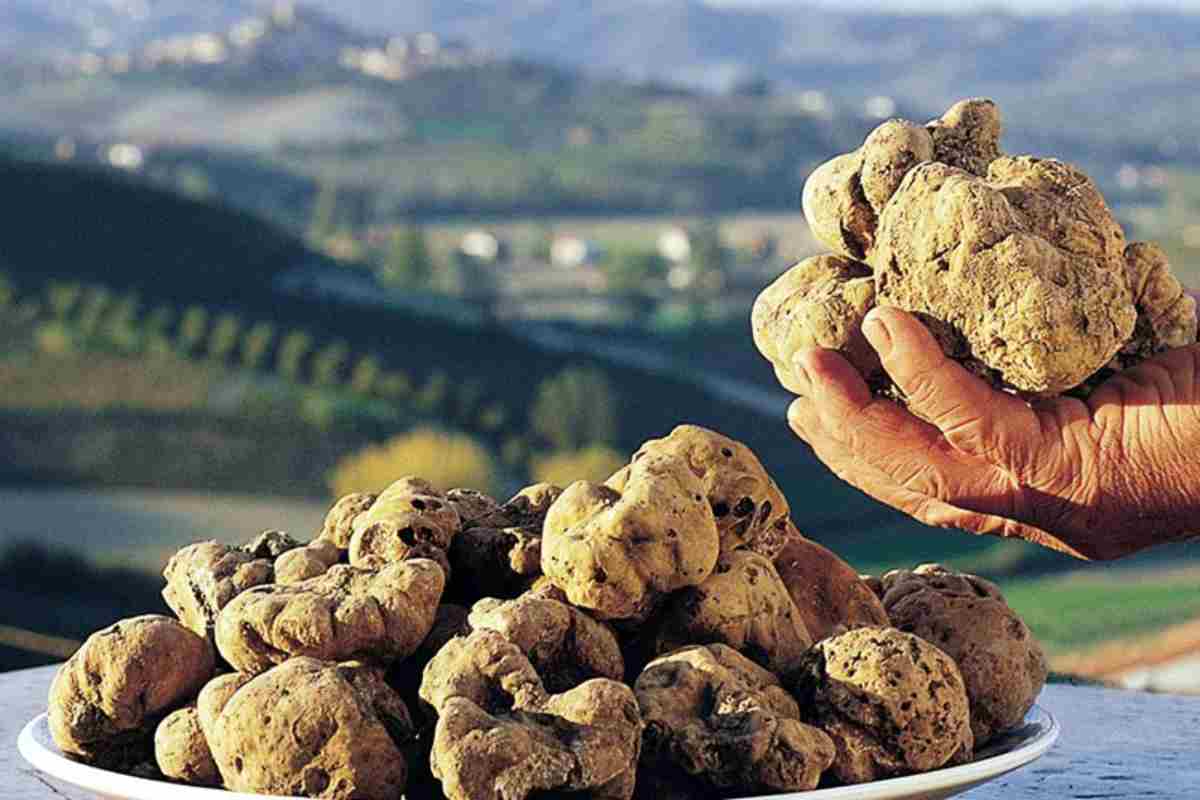 Tartufi alle sagre in Piemonte