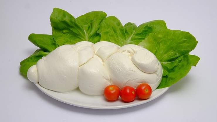 Mercato Centrale di Torino, arriva la mozzarella di bufala