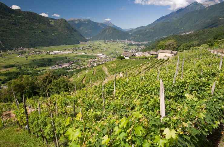 Valtellina