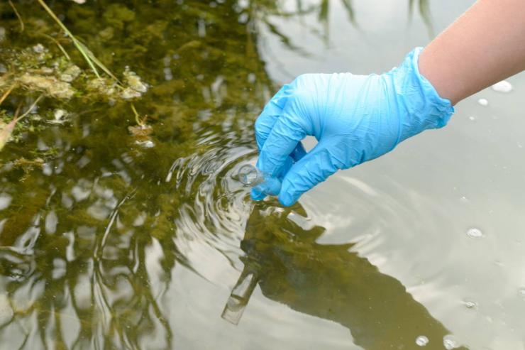 acqua contaminata