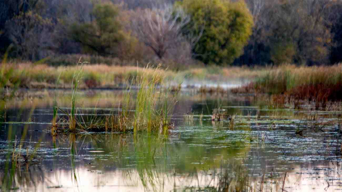 Gianni Canavera fiume Orco disperso divieto di caccia