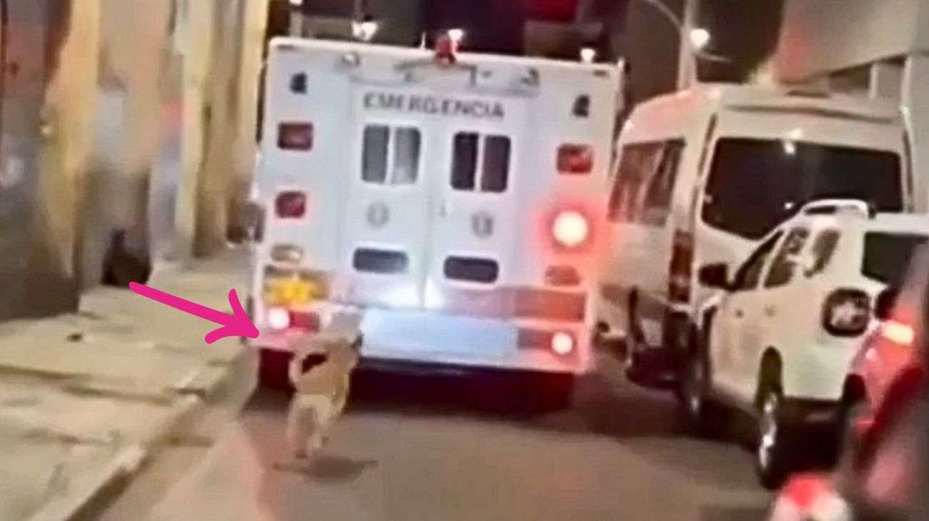 il cane Tono corre verso il suo padrone ricoverato