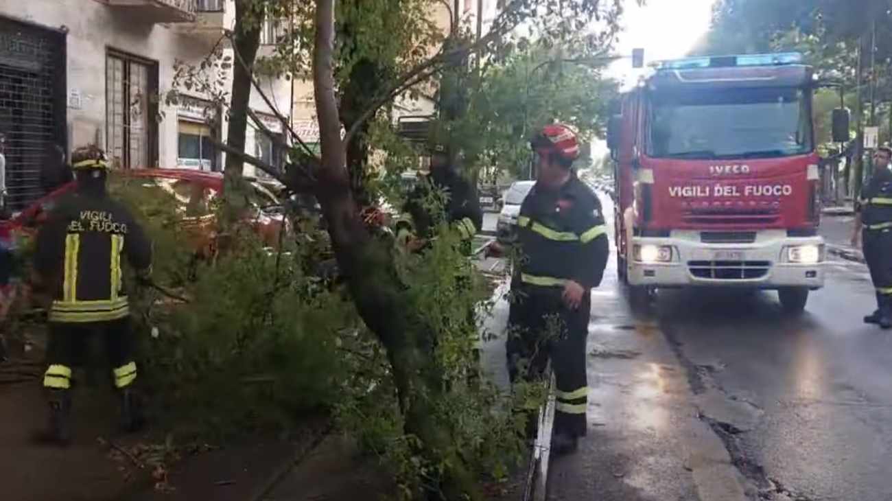 Maltempo Torino alberi spazzati via