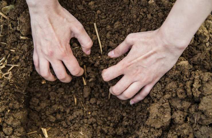 Mani che scavano nel terreno 