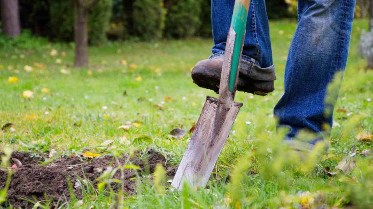 Scavi nel giardino