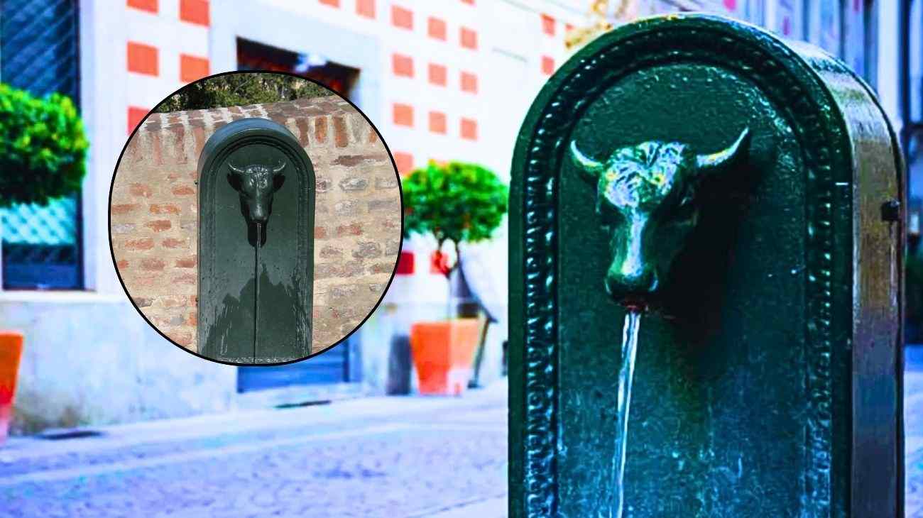 fontana torinese simbolica