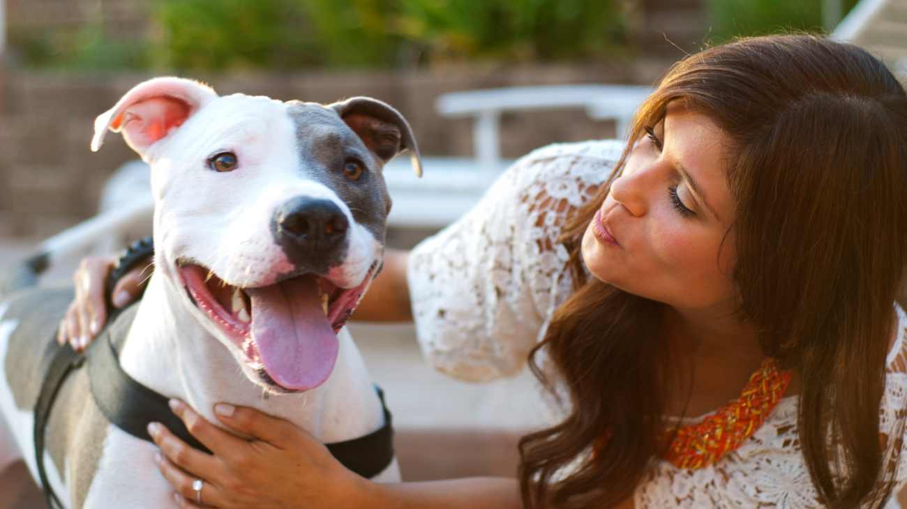 cane Pit Bull e donna