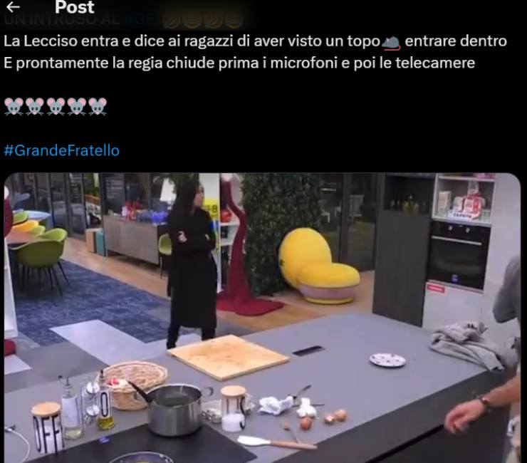 grande fratello amanda lecciso vede tutto