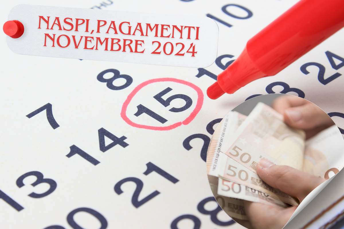 Naspi novembre