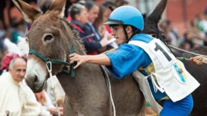 Asino durante una corsa ad Alba