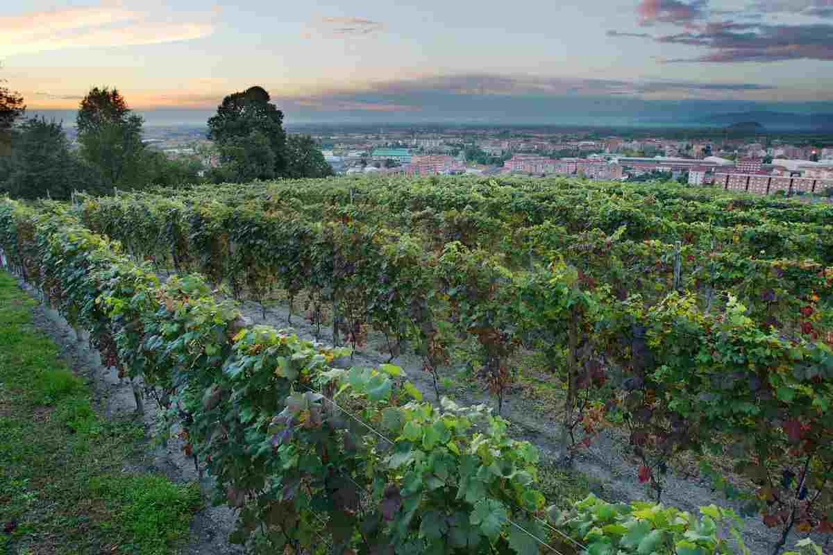 Visita Pinerolo Torino