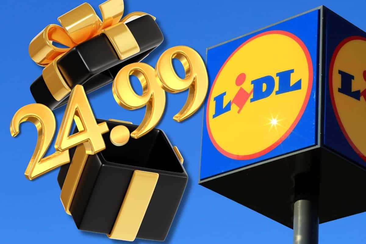 Regalo Natale LIDL 24,99 euro