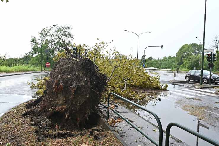 torino allerta meteo