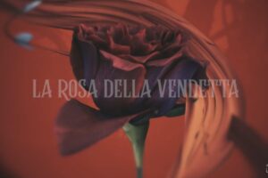 la rosa della vendetta