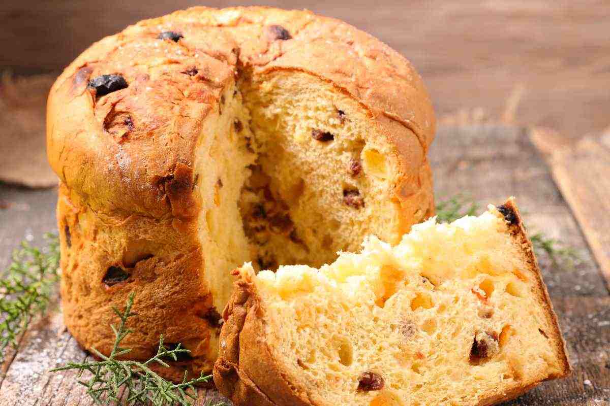 panettone